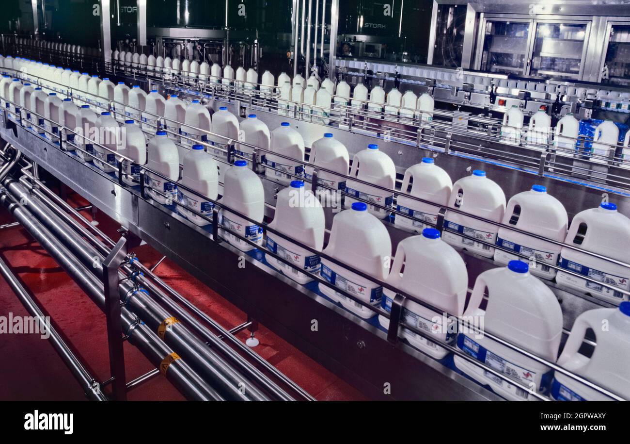 Milk processing plant. Stock Photo