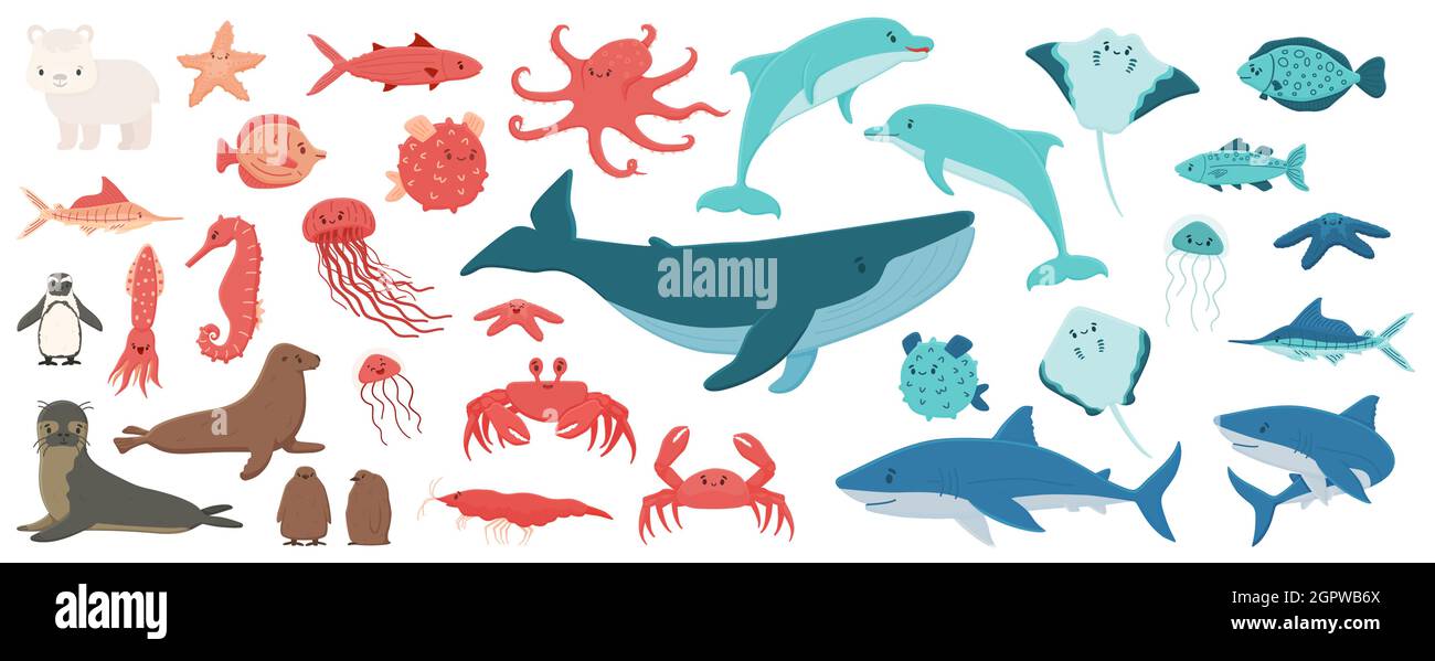 Big set of cartoon isolated sea ocean north animals. Doodle vector whale,  dolphin, shark, stingray, jellyfish, fish, stars, crab, king Penguin chick  Stock Vector Image & Art - Alamy