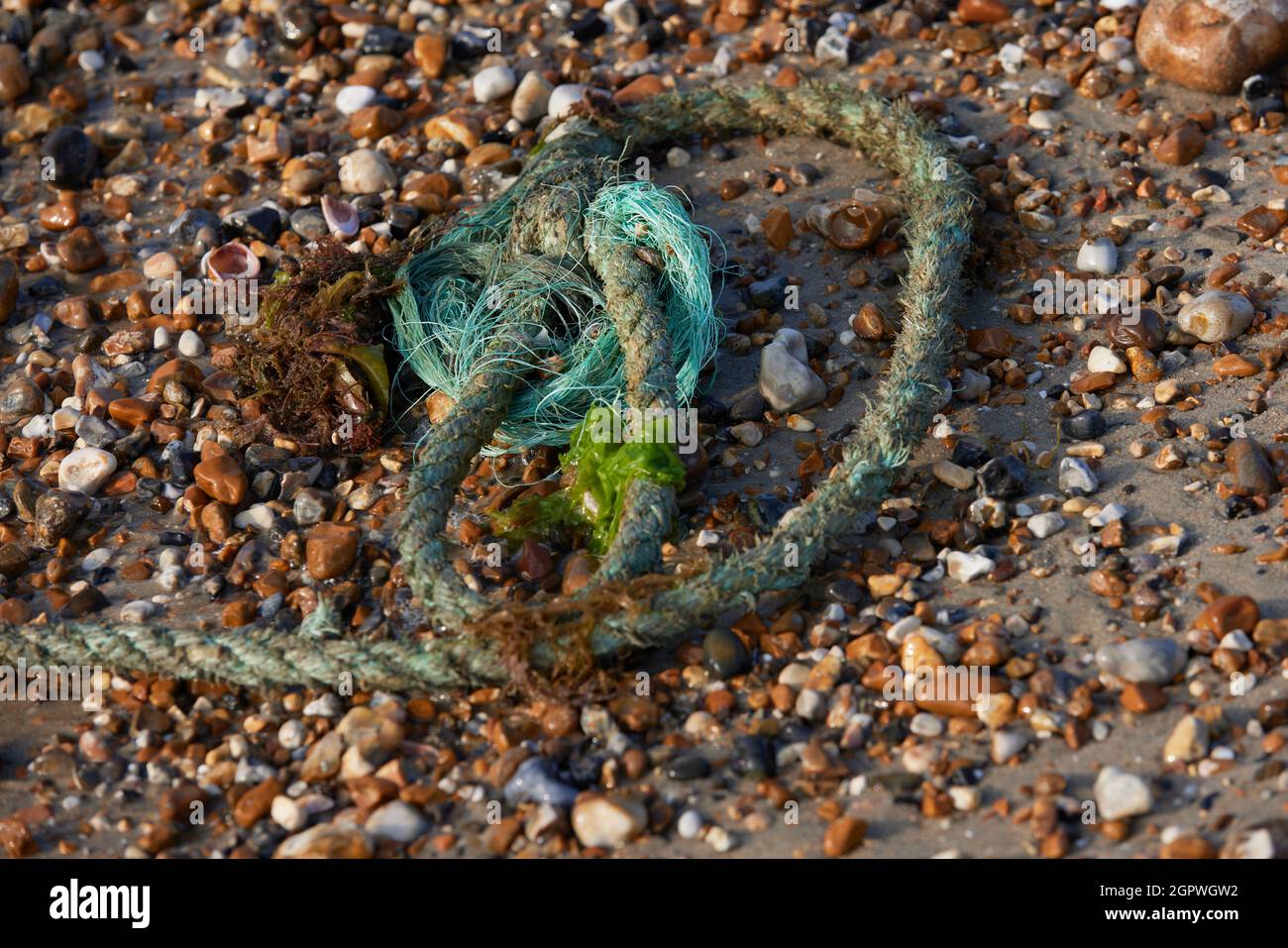 Discarded plastic rope and fishing net washed up on shore - Stock Image -  C048/3594 - Science Photo Library