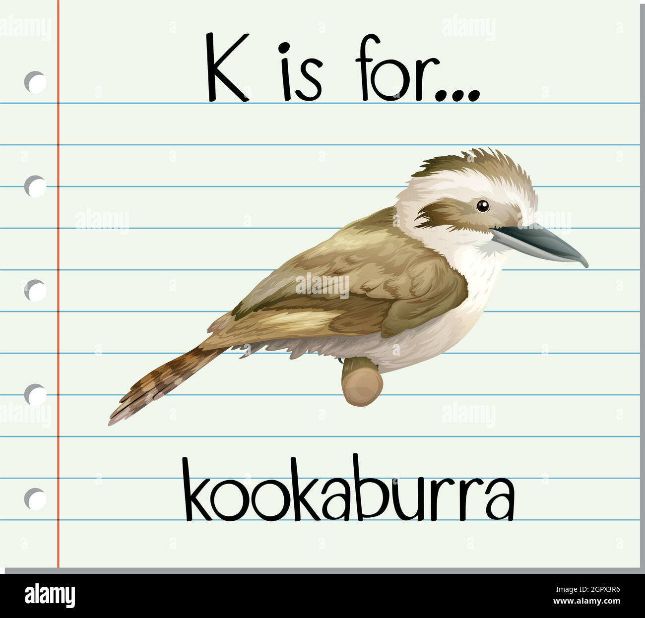 Flashcard letter K is for kookaburra Stock Vector