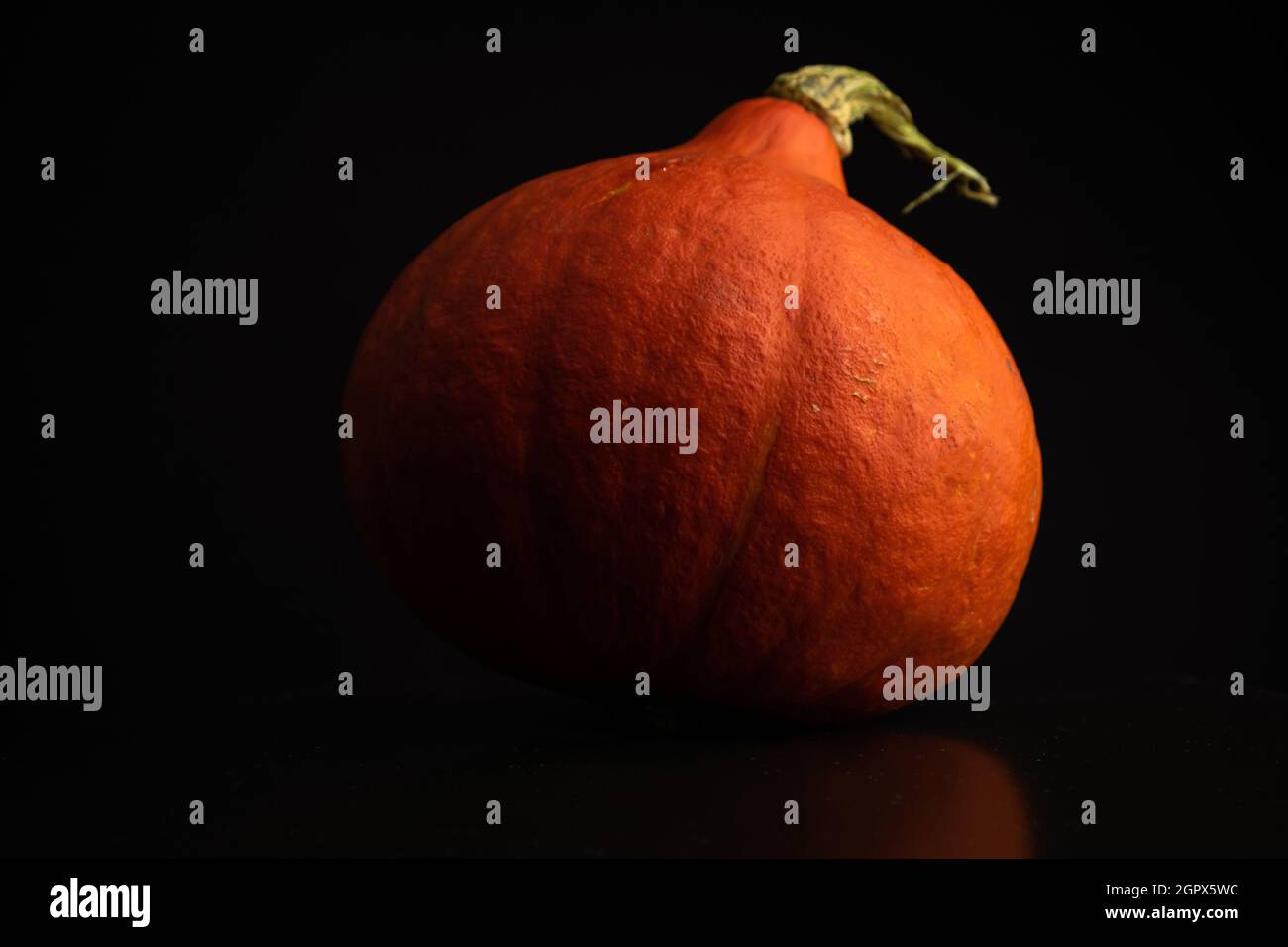 Autumn Hokkaido Pumpkin or Red Kuri on a black background. Fresh ...