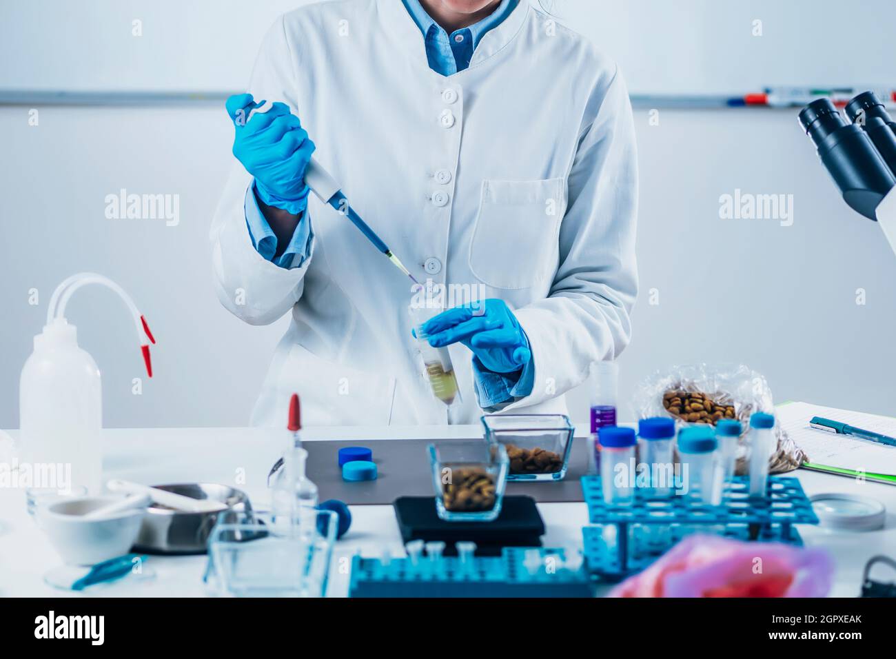 What Is Dog Food Testing