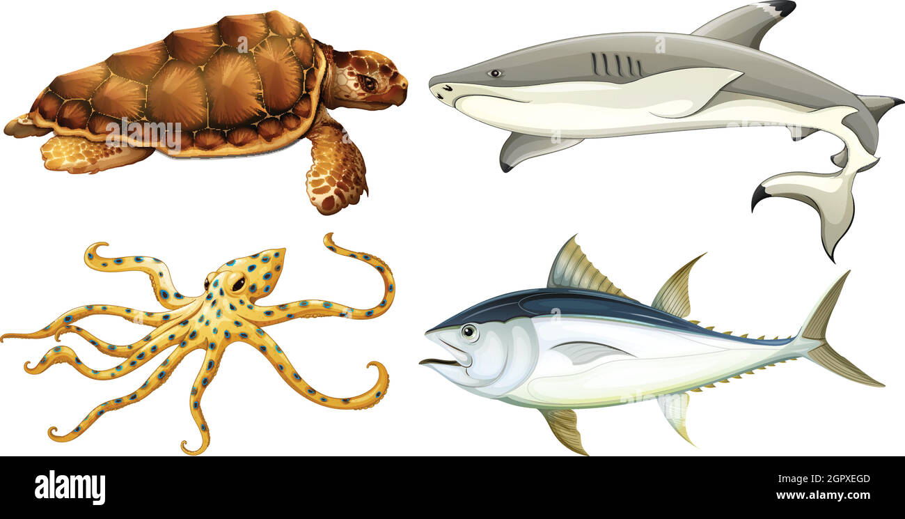 Different sea creatures Stock Vector