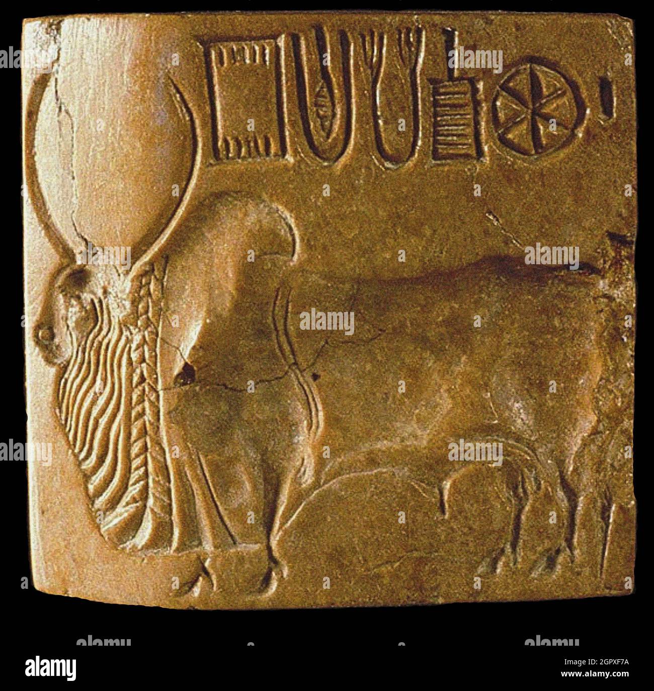 Zebu Bull Seal with Indus Script Found at Mohenjo Daro, Indus Valley , 3rd millenium BC. Found in the Collection of the National Museum, New Delhi. Stock Photo