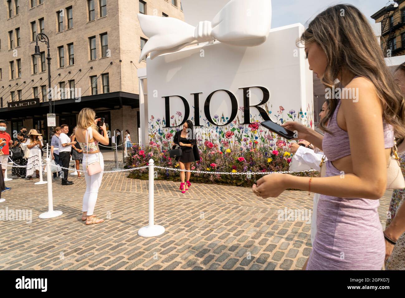 Miss dior brand shop