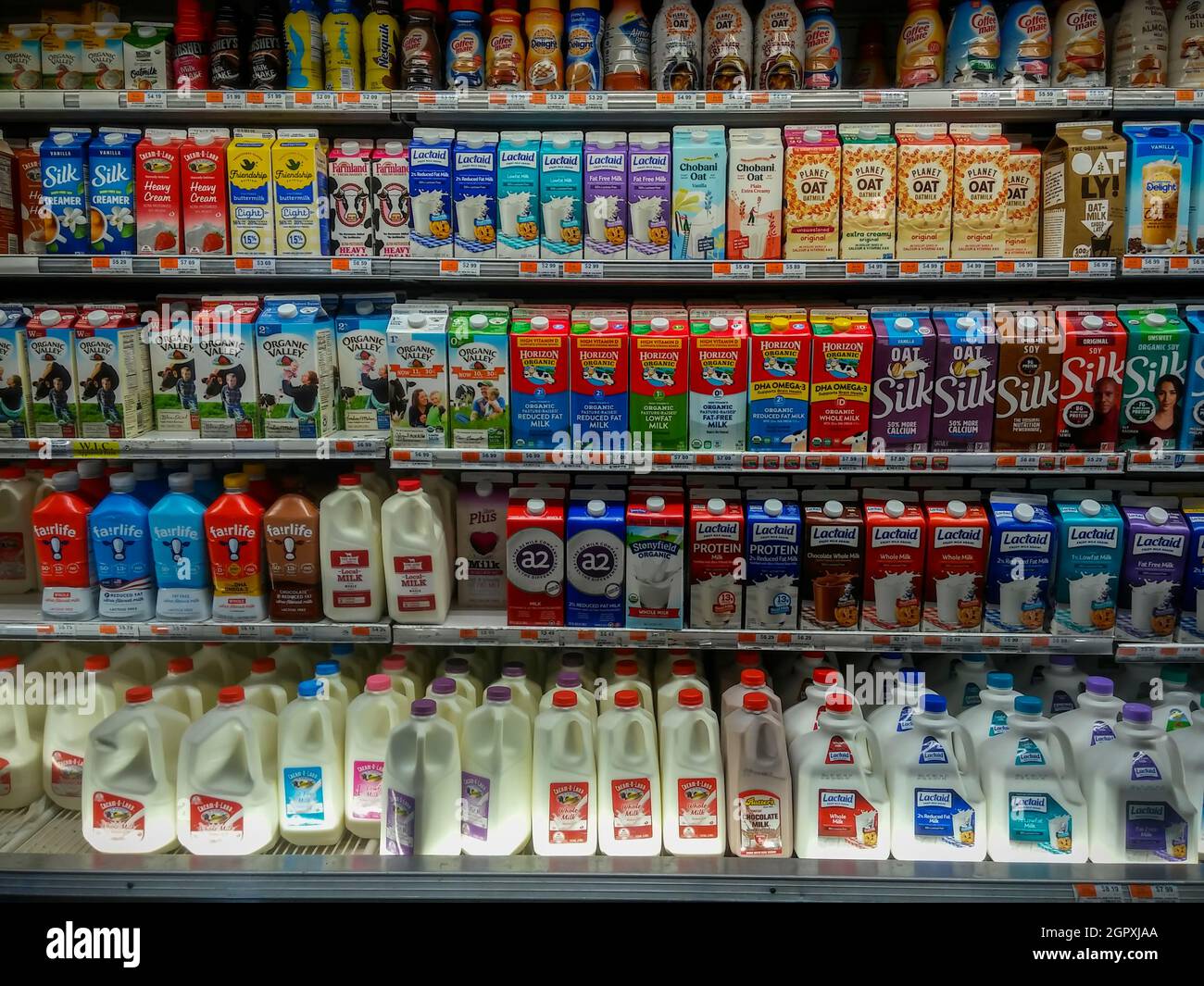 A wide and varied selection of milk and plant-based beverages in a supermarket cooler in New York on Friday, September 24, 2021.  (© Richard B. Levine) Stock Photo