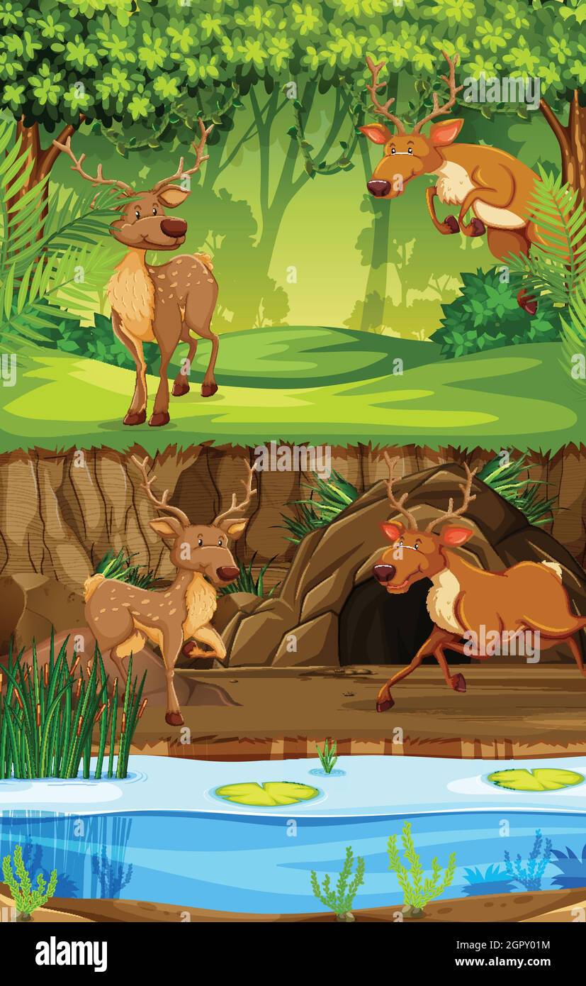 Deer in the nature scene Stock Vector Image & Art - Alamy