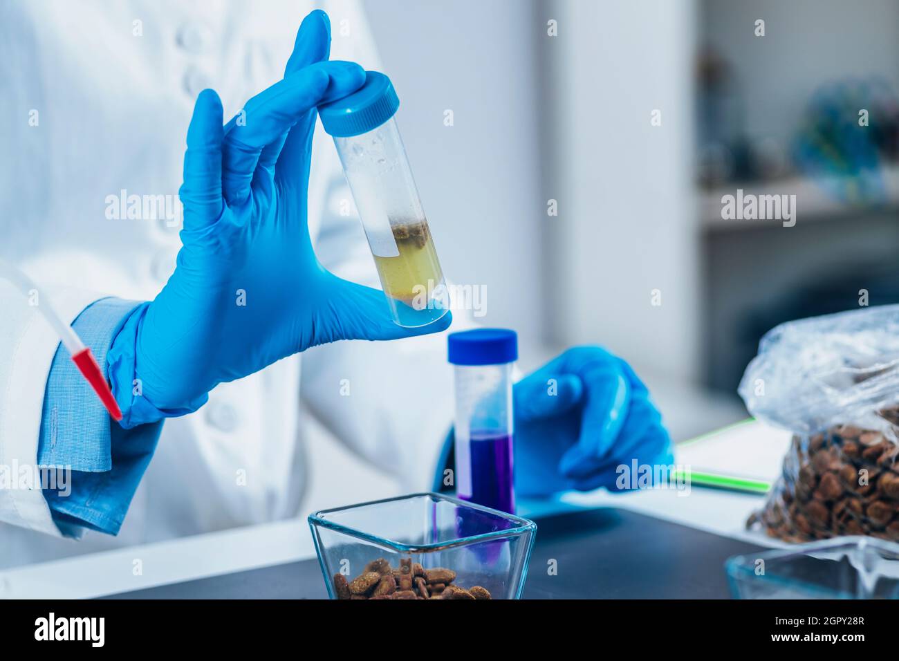 Laboratory Test Tube With Dry Pet Food Sample Dissolved In Water For
