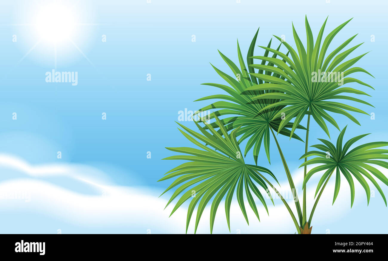 A palm plant and a clear blue sky Stock Vector