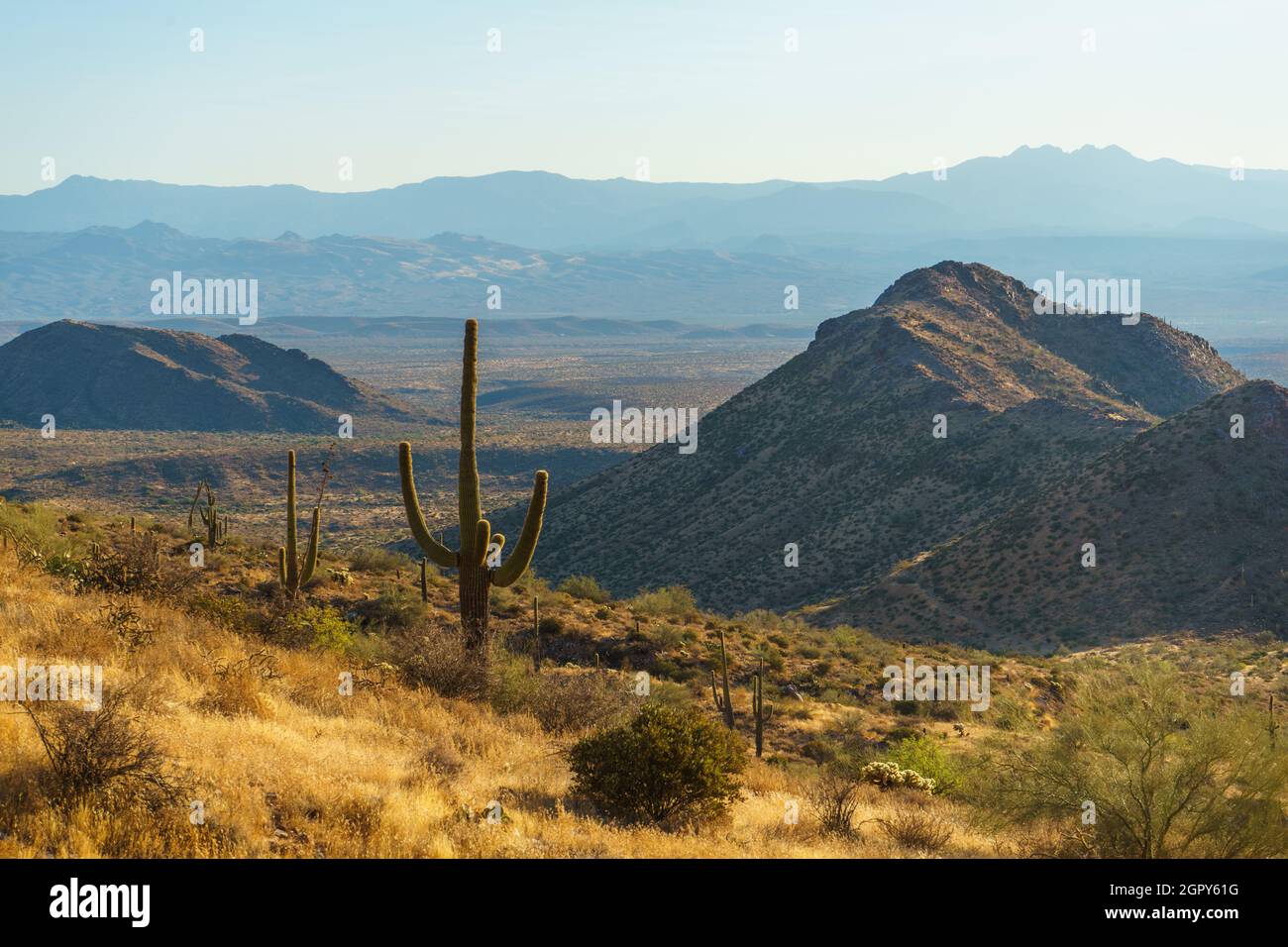 Scenic View Of Landscape And Mountains Against Sky With Lone Saguaro Cactus Stock Photo