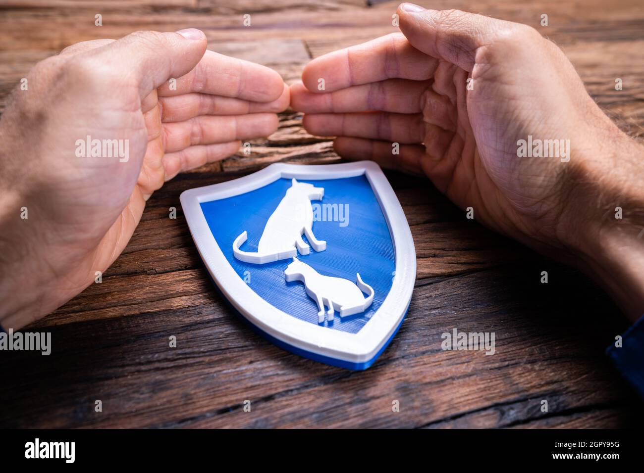 Pet Insurance Concept. Liabilities And Cost Safety Stock Photo
