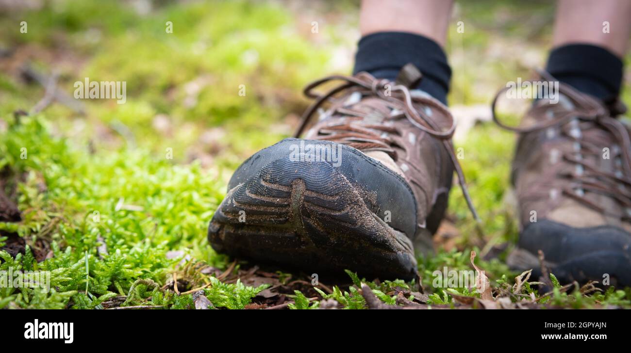 Outdoor footwear. Hiking shoes with socks in forest. Close up. Stock Photo