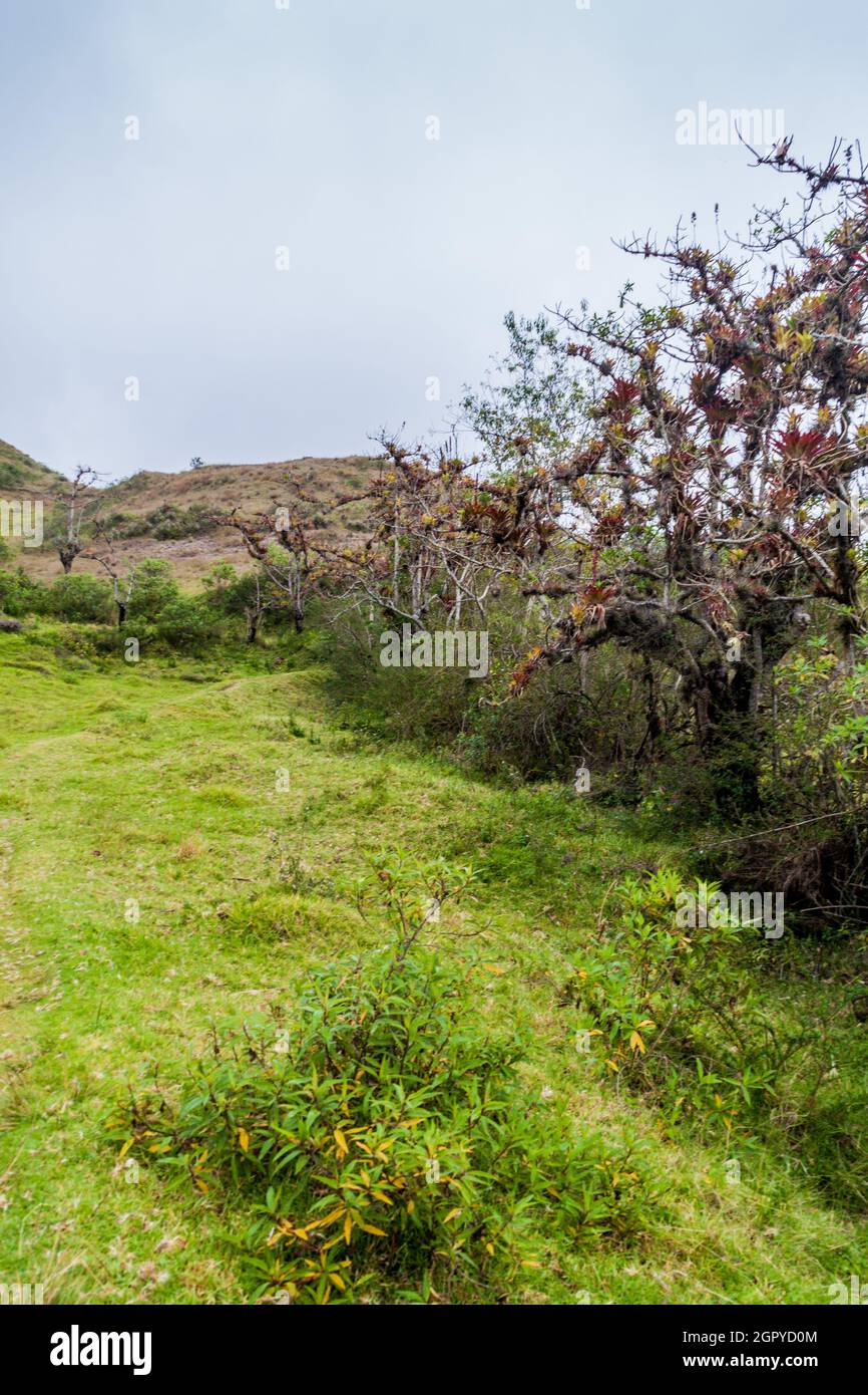 Landscape of ecuadorian mountains Stock Photo - Alamy