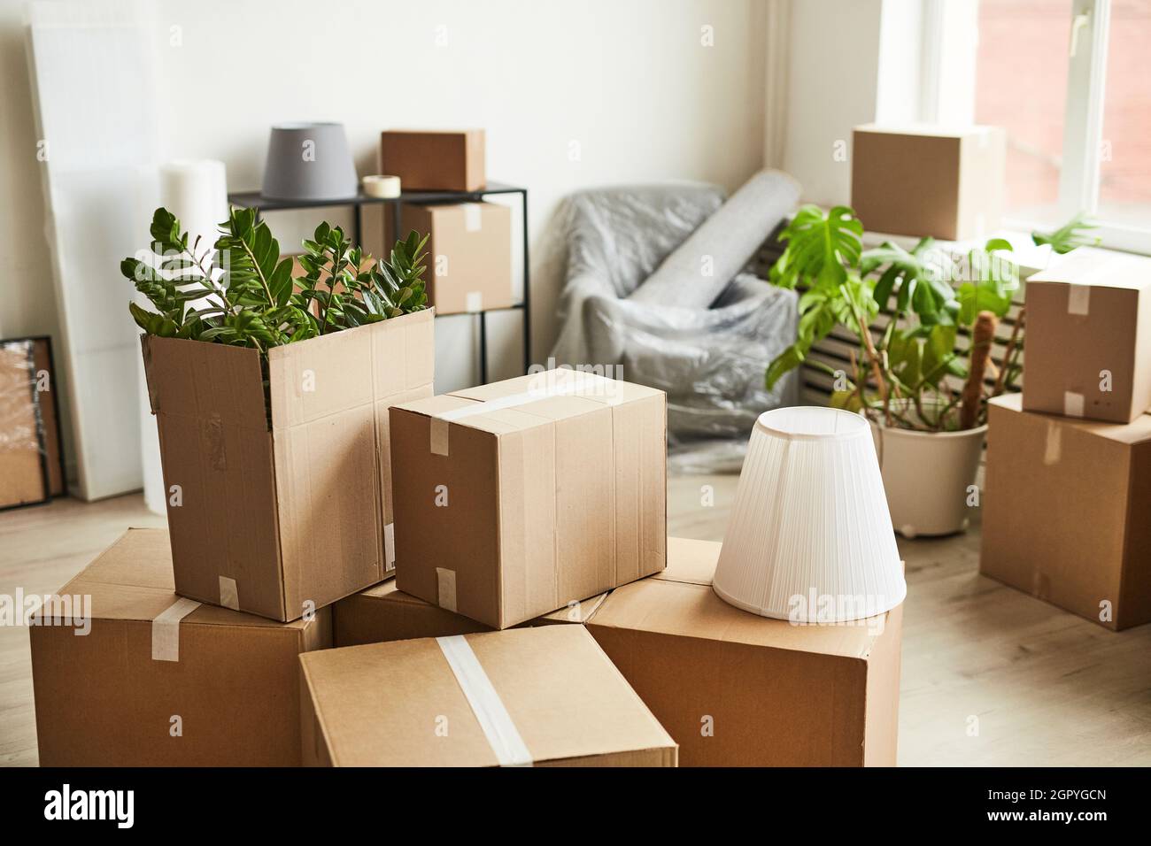 Background image of cardboard boxes in empty room with plants and furniture, moving to new home concept, copy space Stock Photo