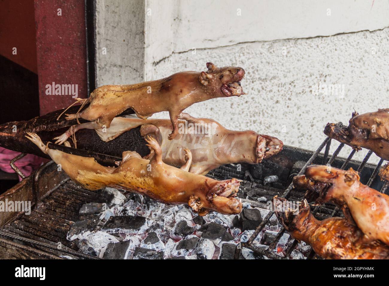 Roasted guinea pigs on a market in Banos de Agua Santa, popular tourist destination in Ecuador Stock Photo