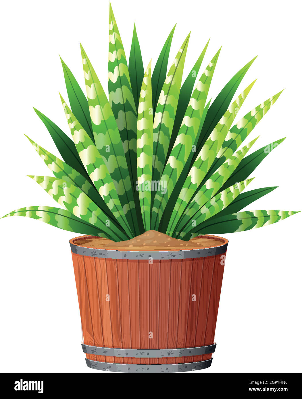 Plant in pot with soil isolated Stock Vector Image & Art - Alamy
