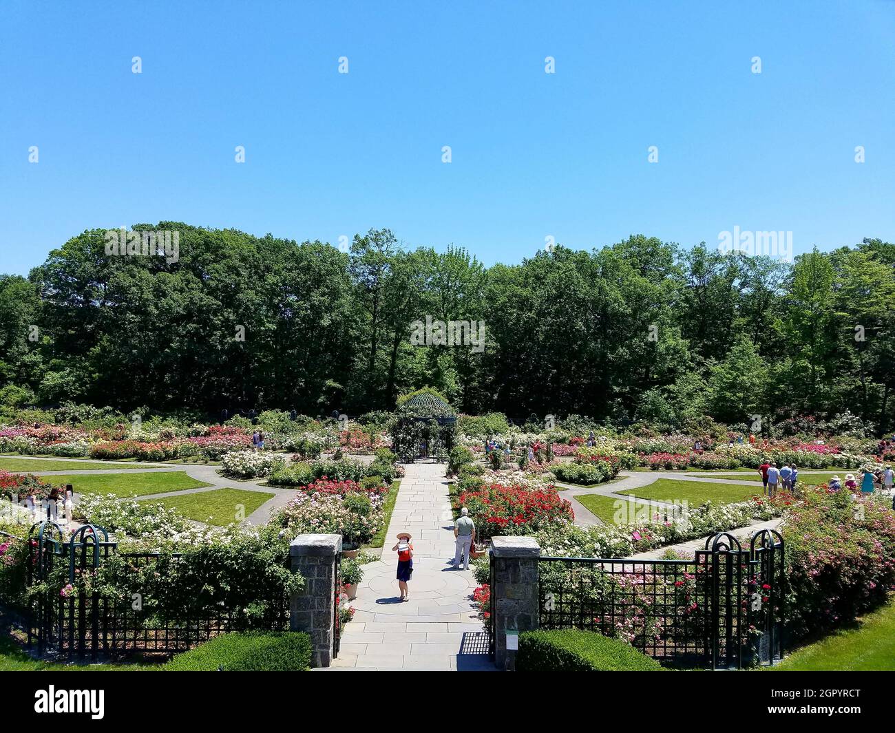 Rose Garden, New York Botanical Gardens Stock Photo Alamy