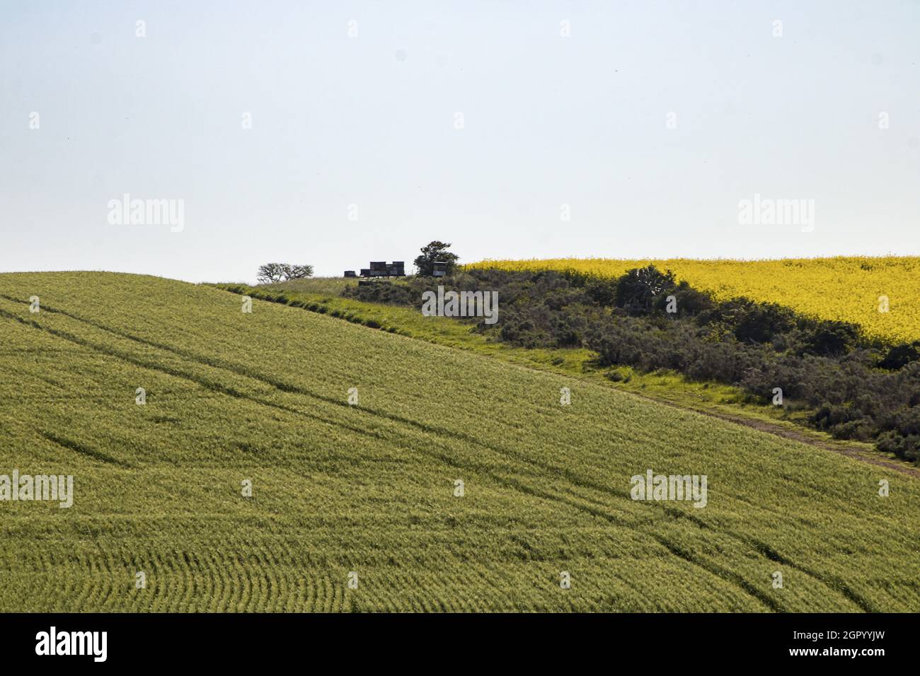 Valley landscape in Riversdale, Western Cape, South Africa Stock Photo