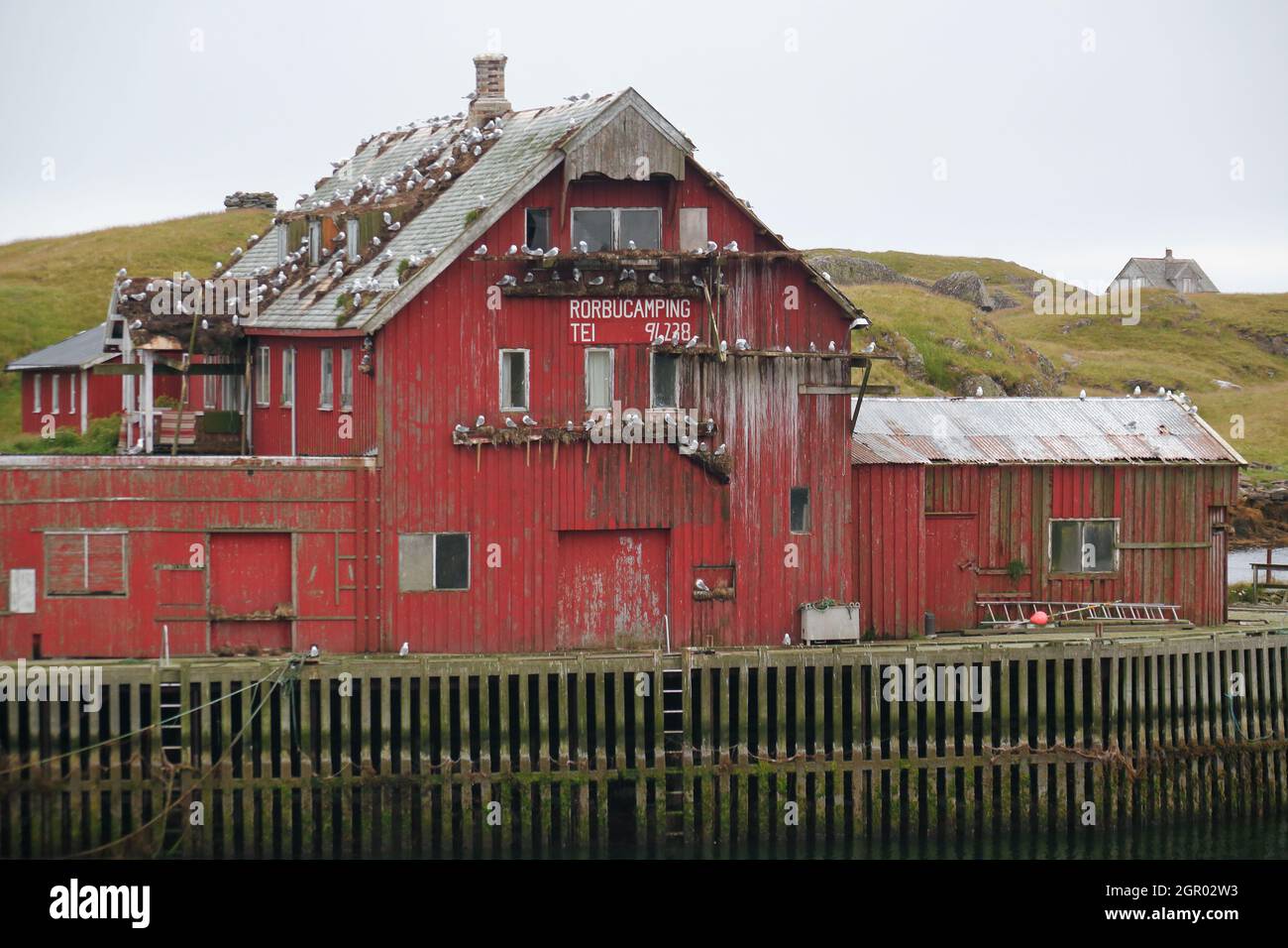 Red house in Norway. Fishing village in Røst in Lofoten. Stock Photo