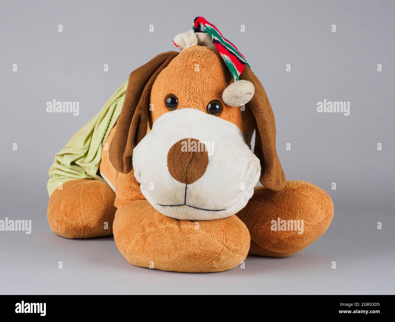 Studio image of an old well loved toy dog. Stock Photo