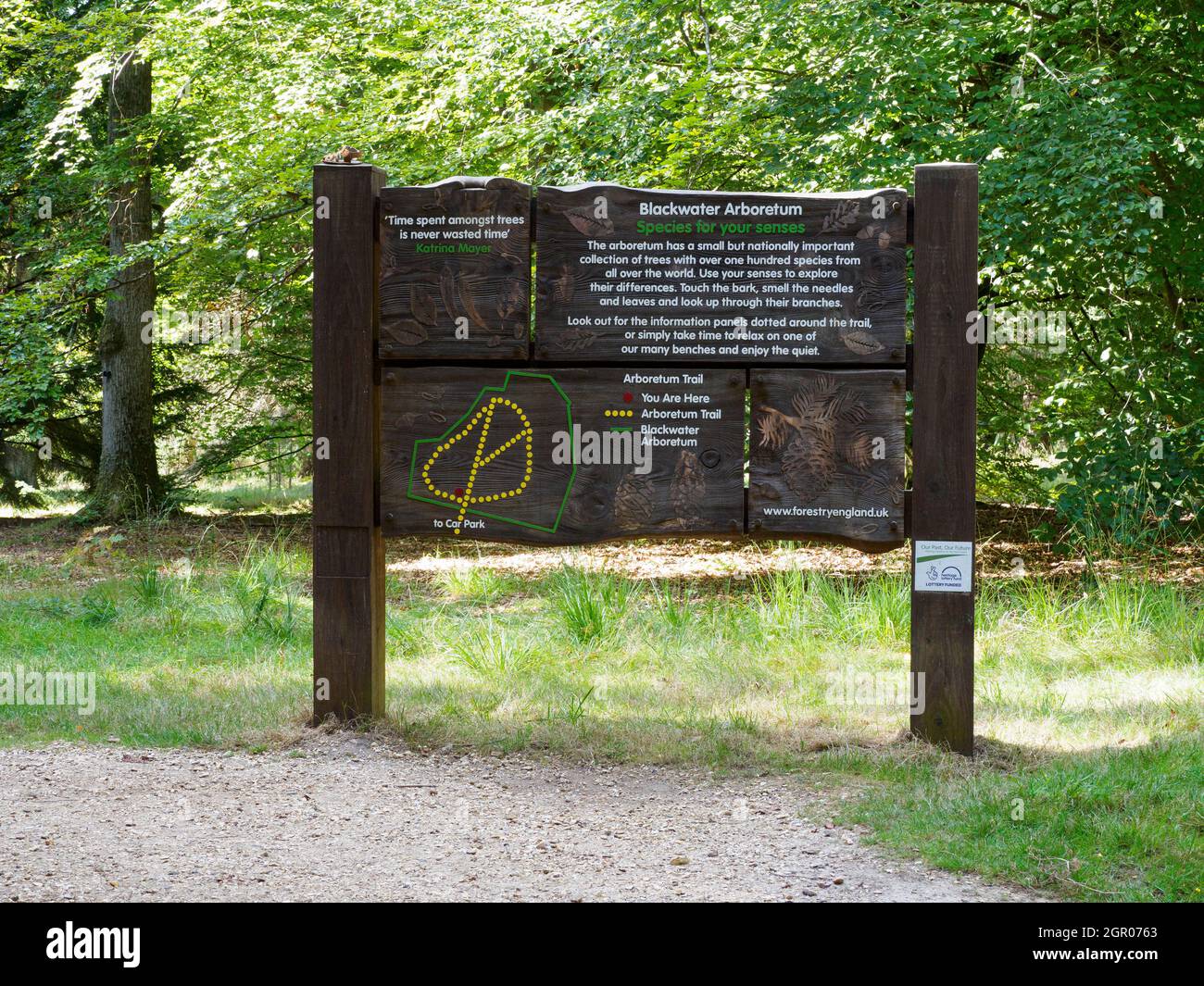 Information board at the Blackwater Arboretum, The New Forest,Hampshire, UK Stock Photo