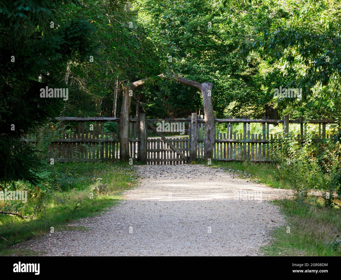 Footpath through the forest to a wooden gate and arch, Blackwater Arboretum, The New Forest, Hampshire, UK Stock Photo