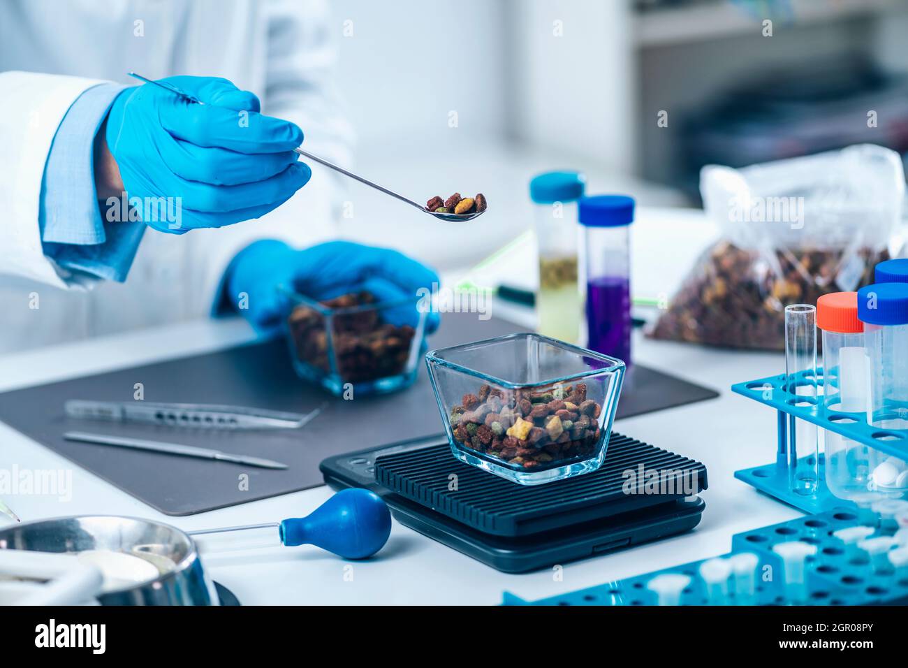 Pet Food Quality Control. Measuring Dry Pet Food Kibble On Digital