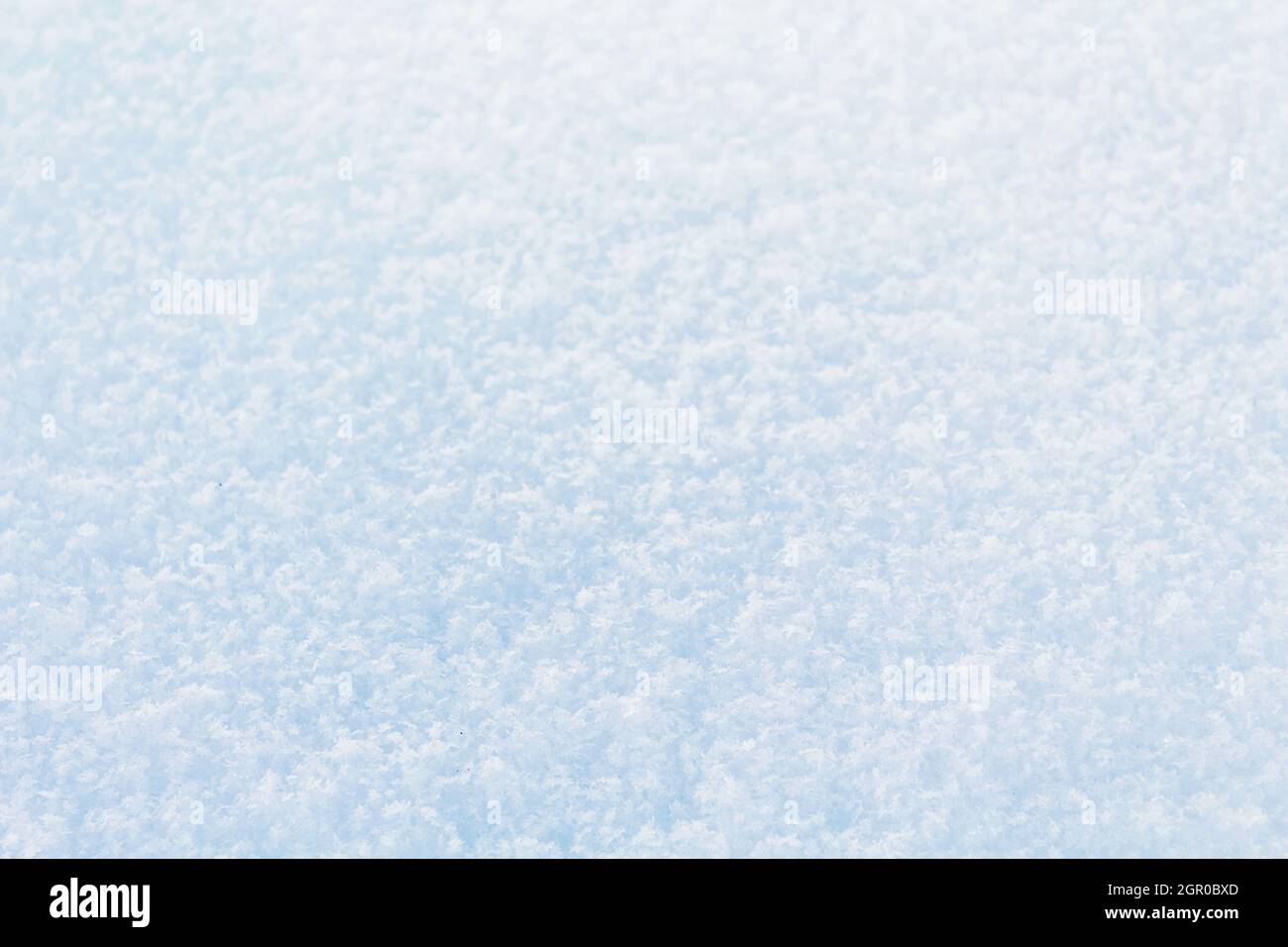 White snow background. First snow. Winter background. Stock Photo