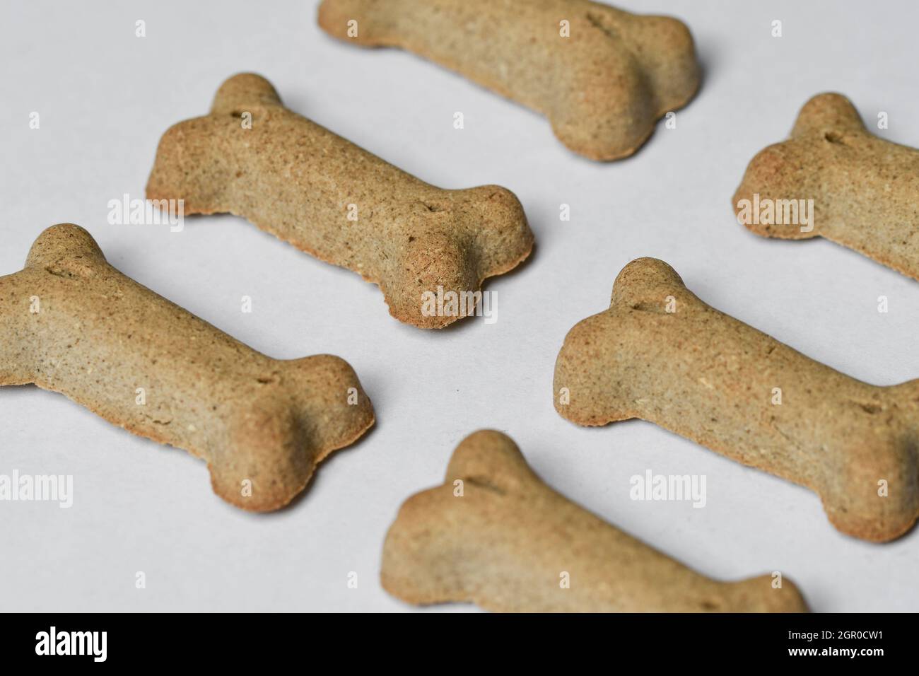 Photo of dog candies in the form of bones on white background Stock Photo