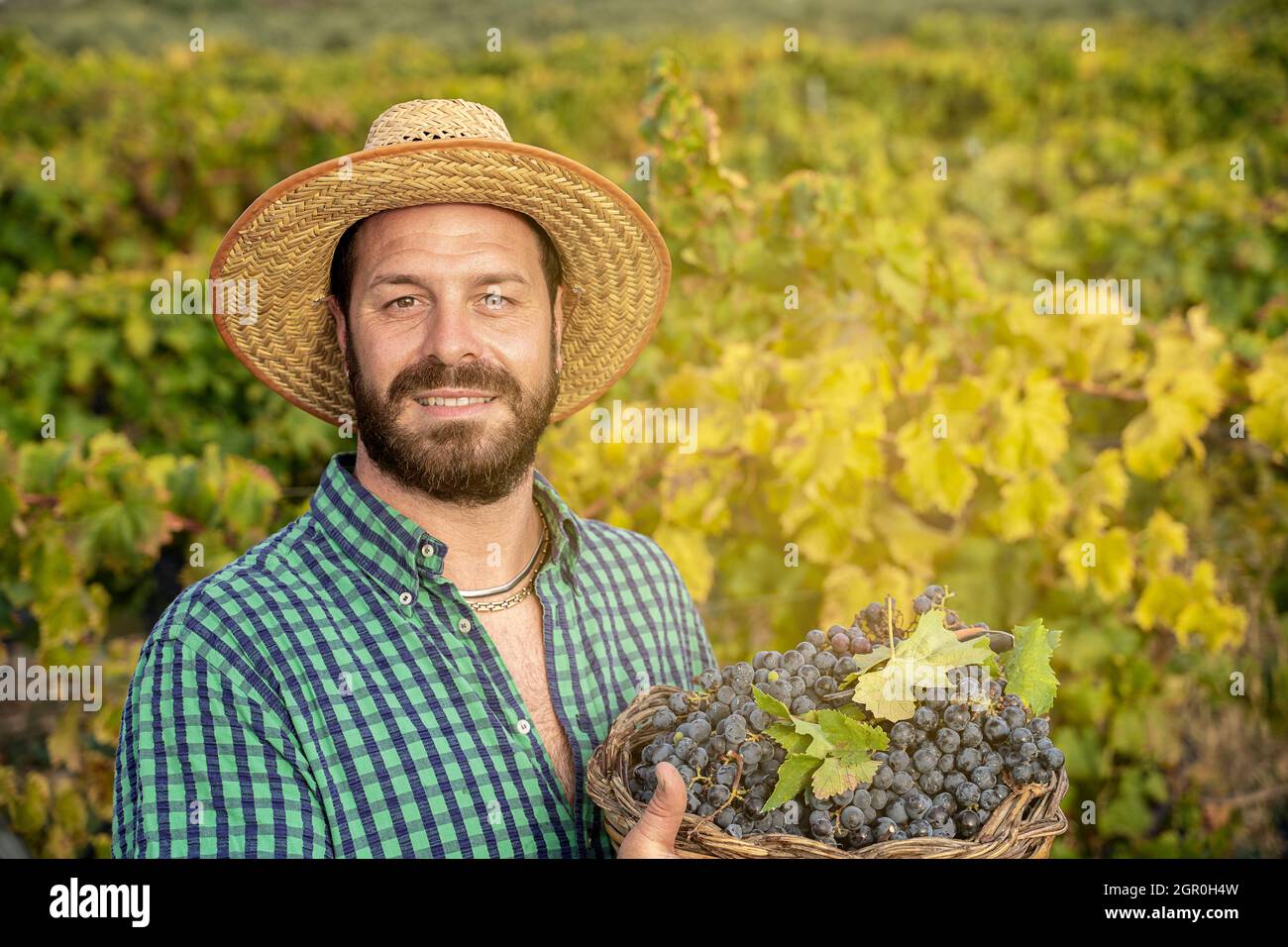 Bearded farmer in nature hi res stock photography and images Alamy Bearded farmer in nature hi res stock photography and images Alamy