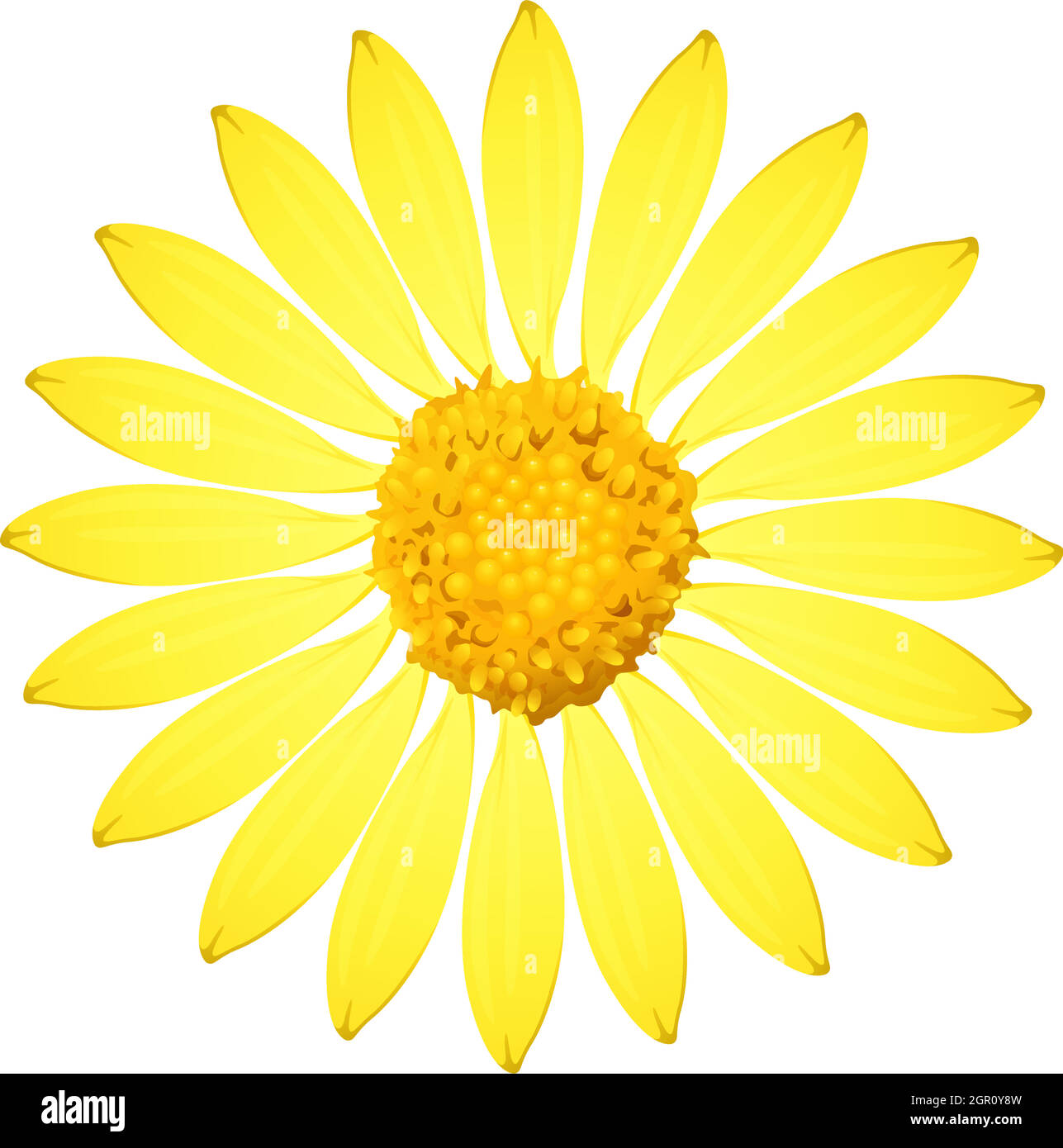 A yellow sunflower Stock Vector