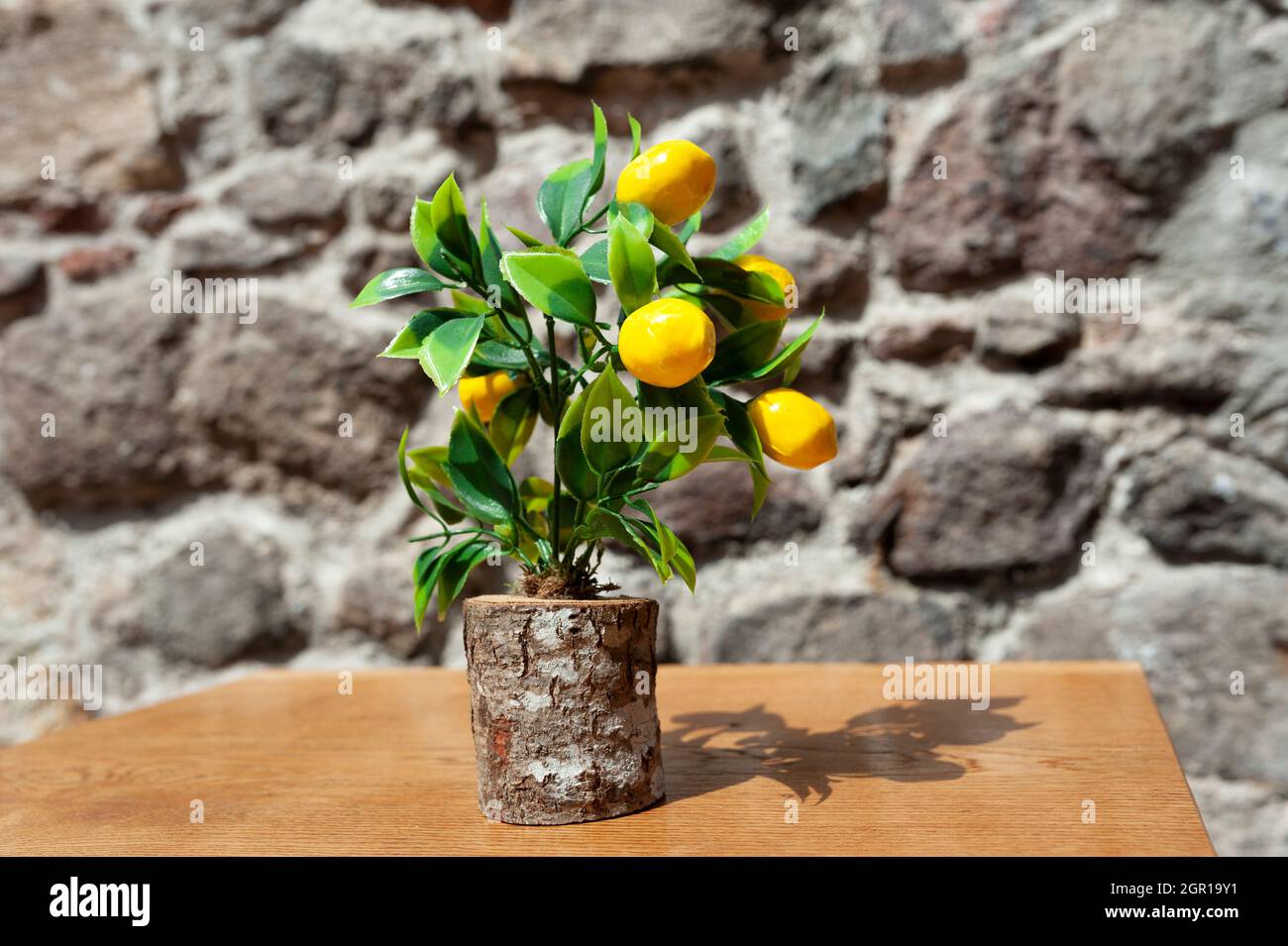 Lemon tree ornamental plant on desktop Stock Photo - Alamy