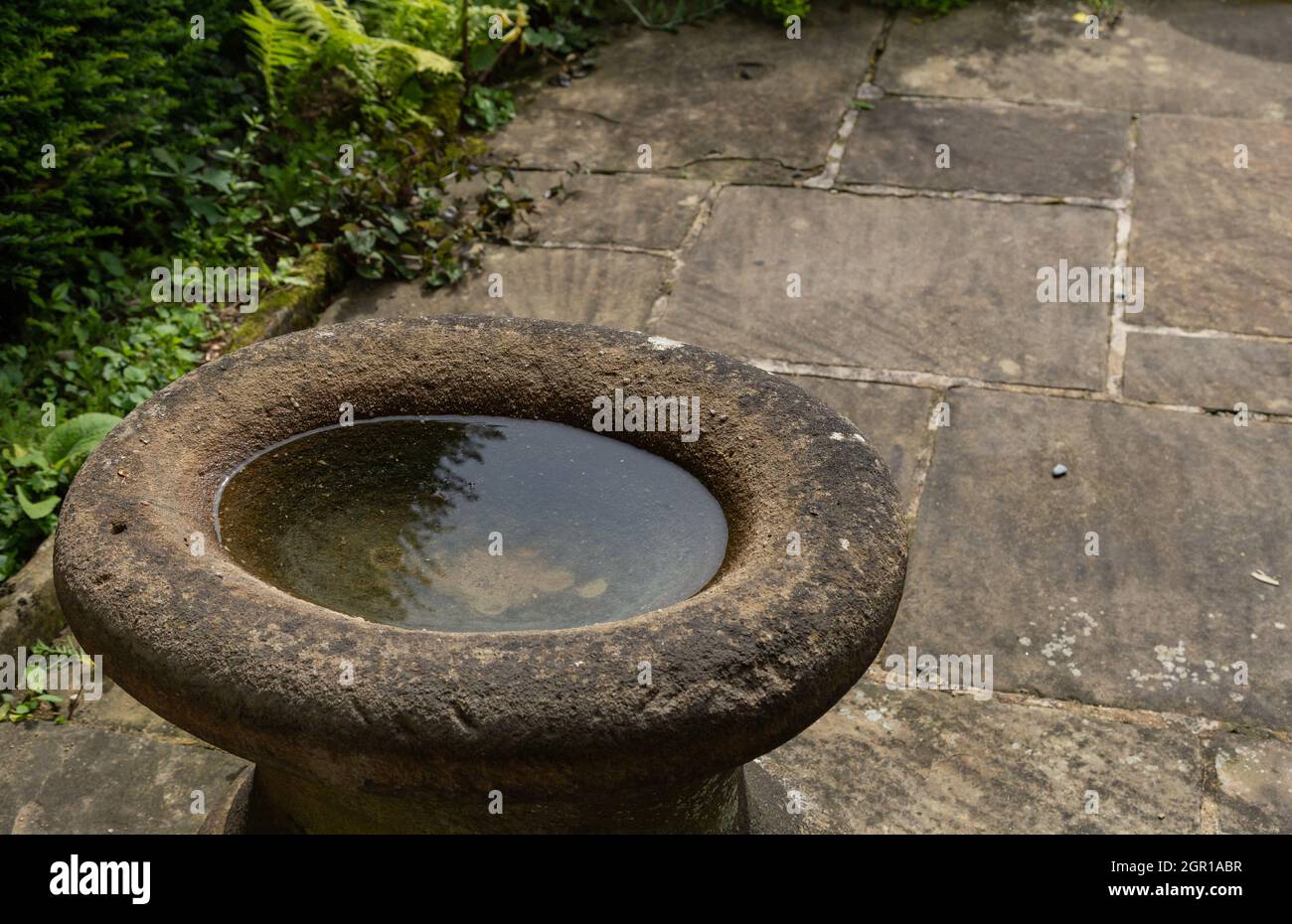 Stone bird bath hires stock photography and images Alamy