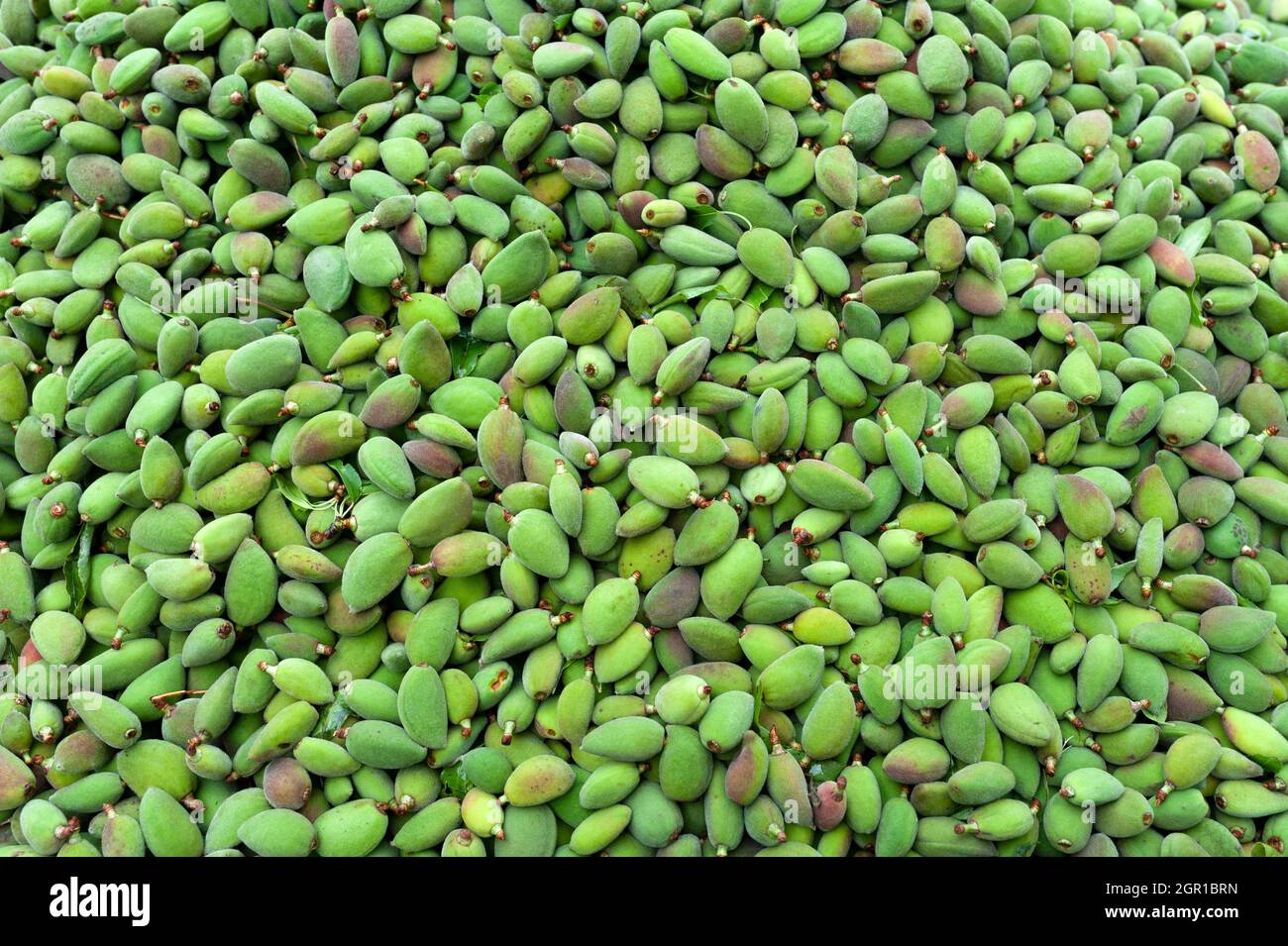 Almond, green vegetable, green fruit Stock Photo Alamy
