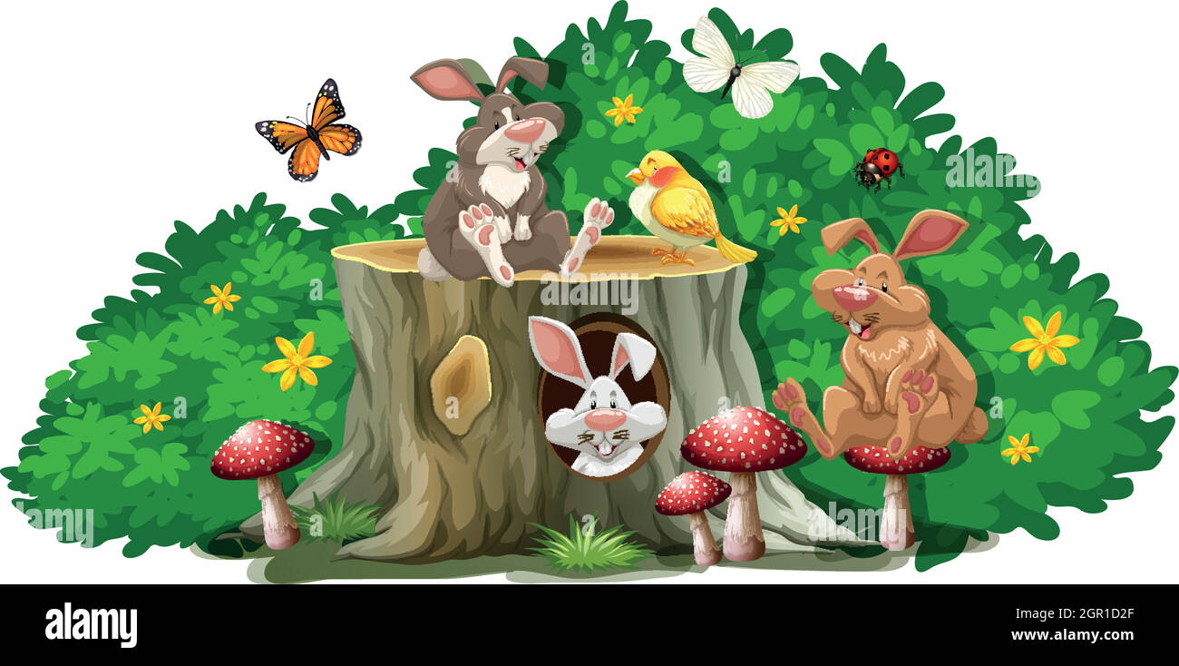 Rabbits and bugs in the garden Stock Vector Image & Art Alamy