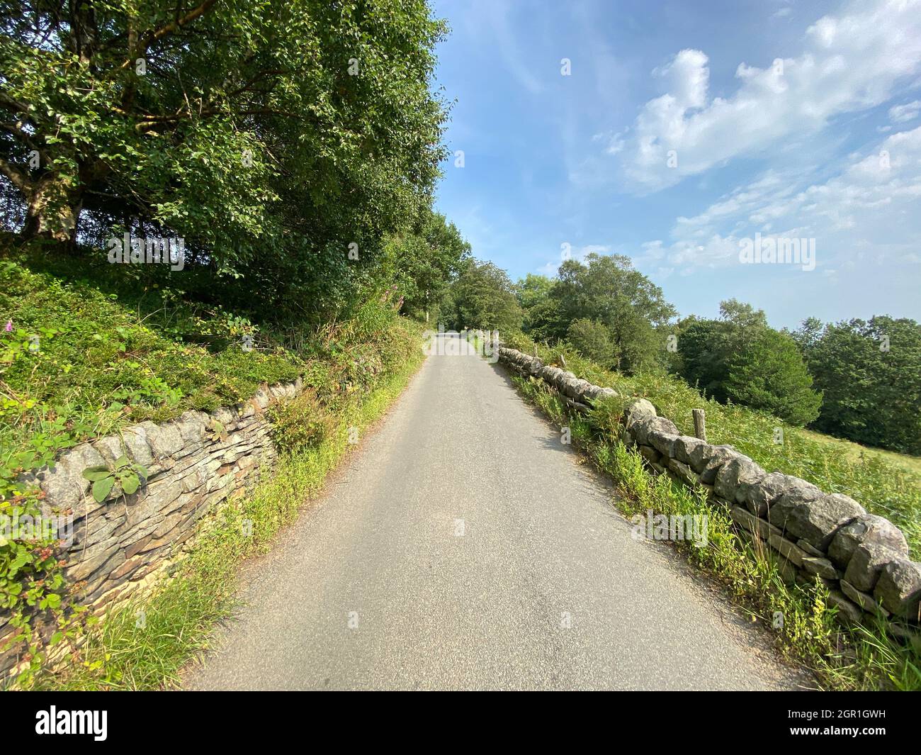 Looking Along, Hey's Lane, With Dry Stone Walls, Fields, And Old Trees In, Wainstalls, Halifax, Uk Stock Photo