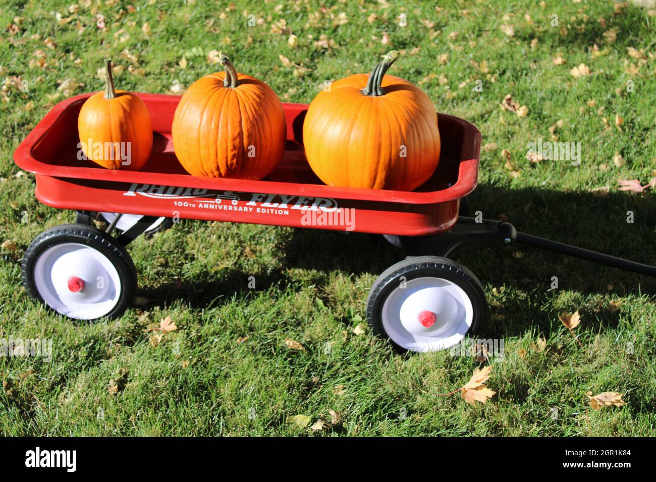 Fall Pumpkins in Radio Flyer Red Wagon Stock Photo - Alamy