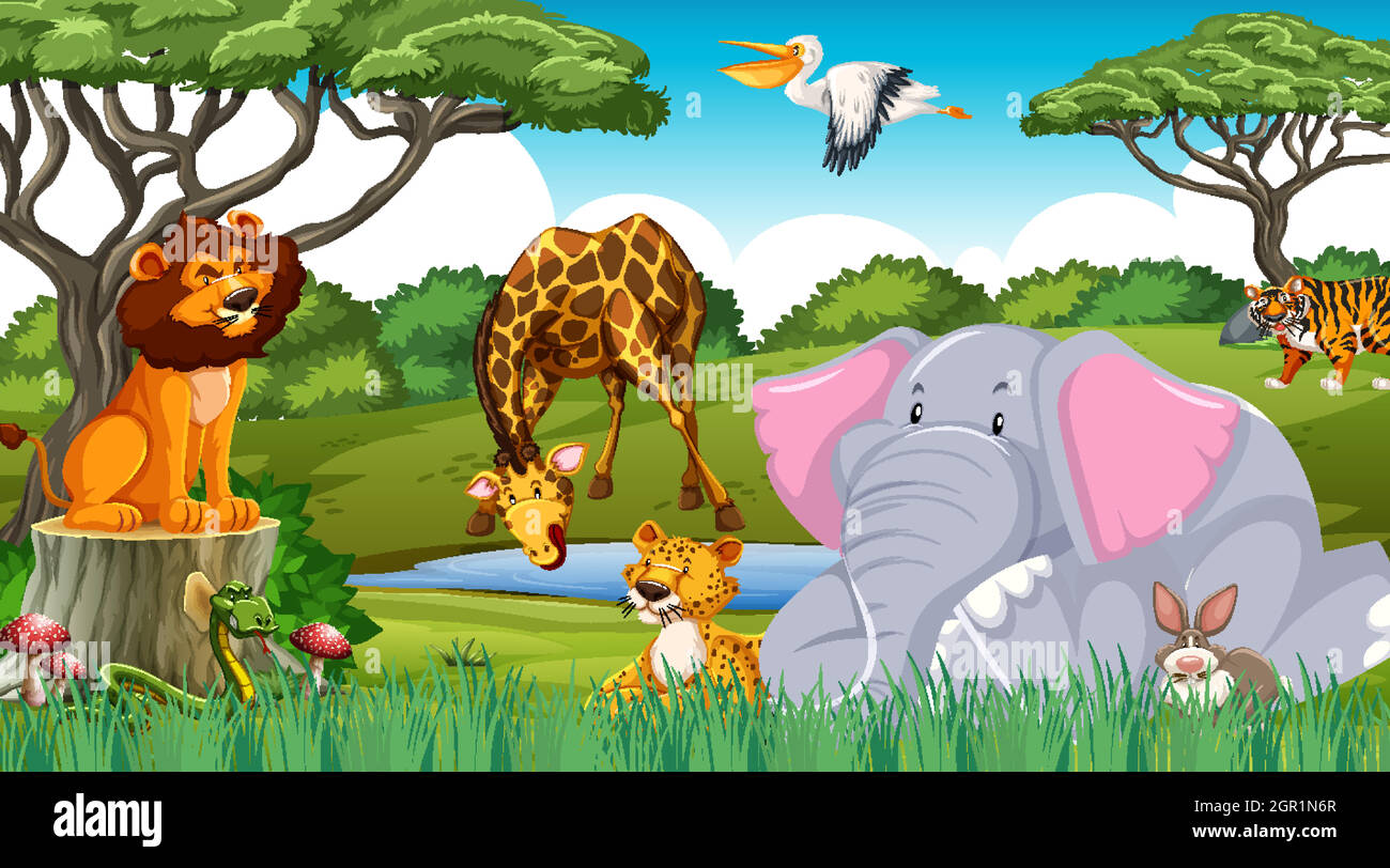 Wild animals in the jungle Stock Vector Image & Art Alamy