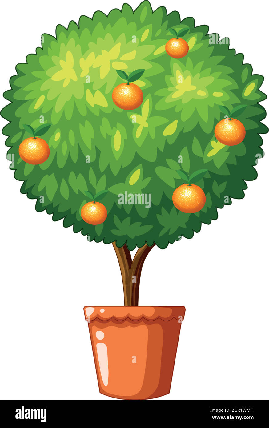 Planting fruit tree in pot Stock Vector Images - Alamy