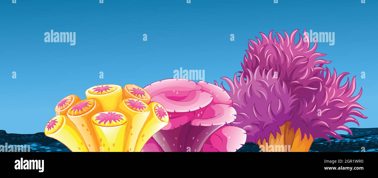 Colorful coral reef underwater Stock Vector