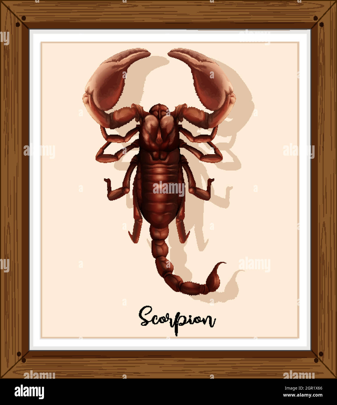Scorpion on wooden frame Stock Vector