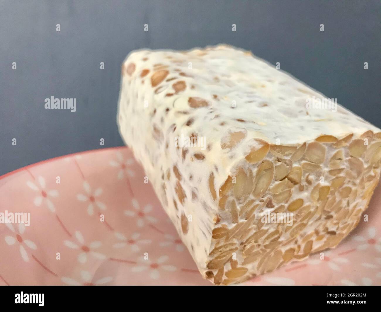 Tempeh culture hires stock photography and images Alamy