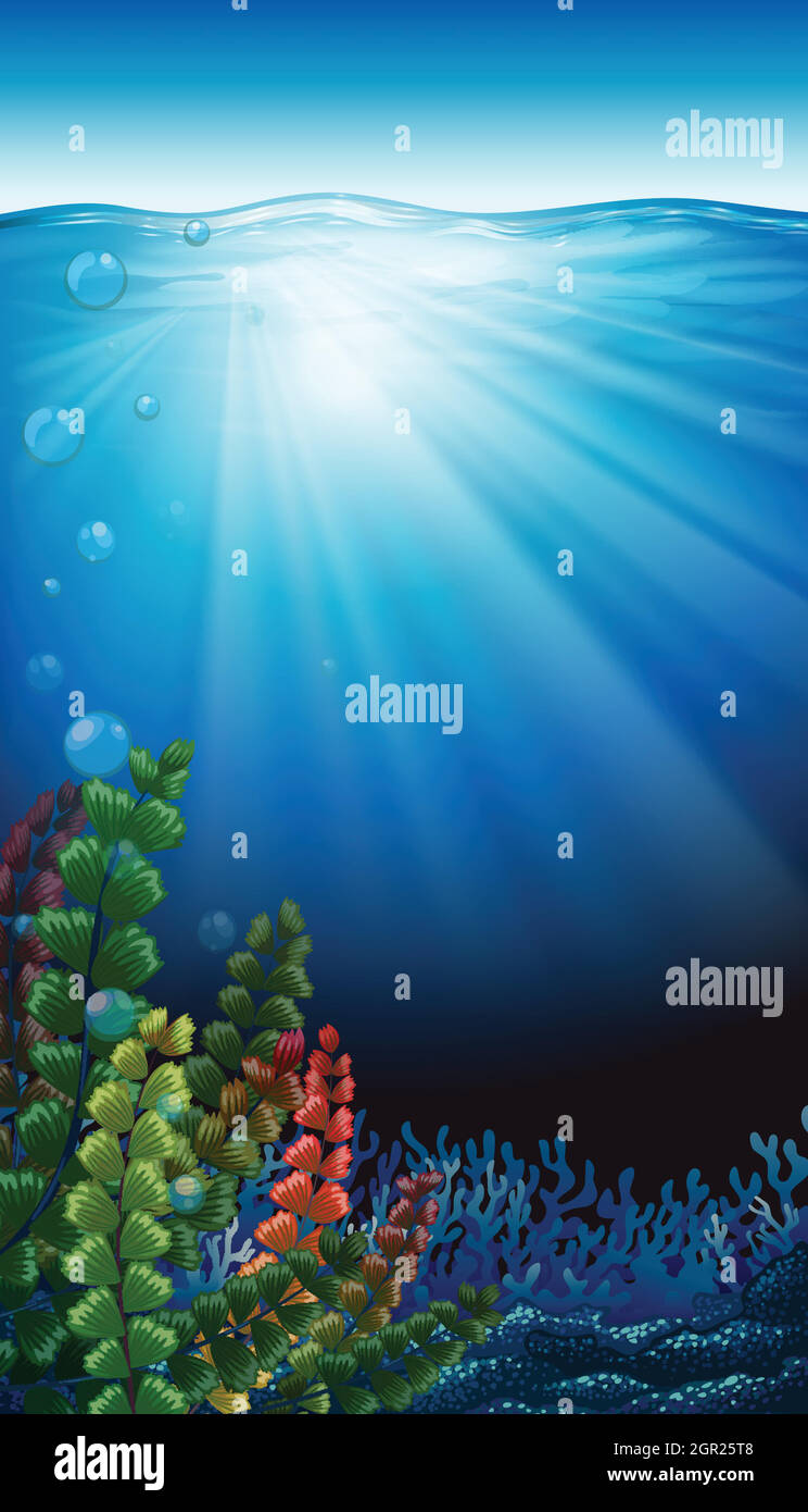 An underwater scenery Stock Vector Image & Art - Alamy