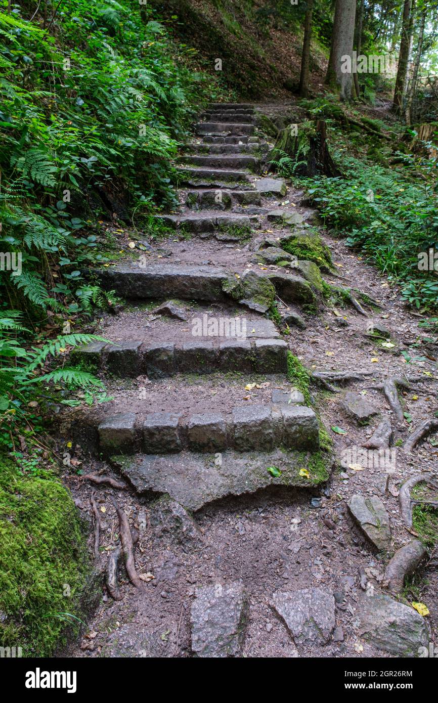 Moss-covered stone steps in the Black Forest near Baden Baden, Germany ...