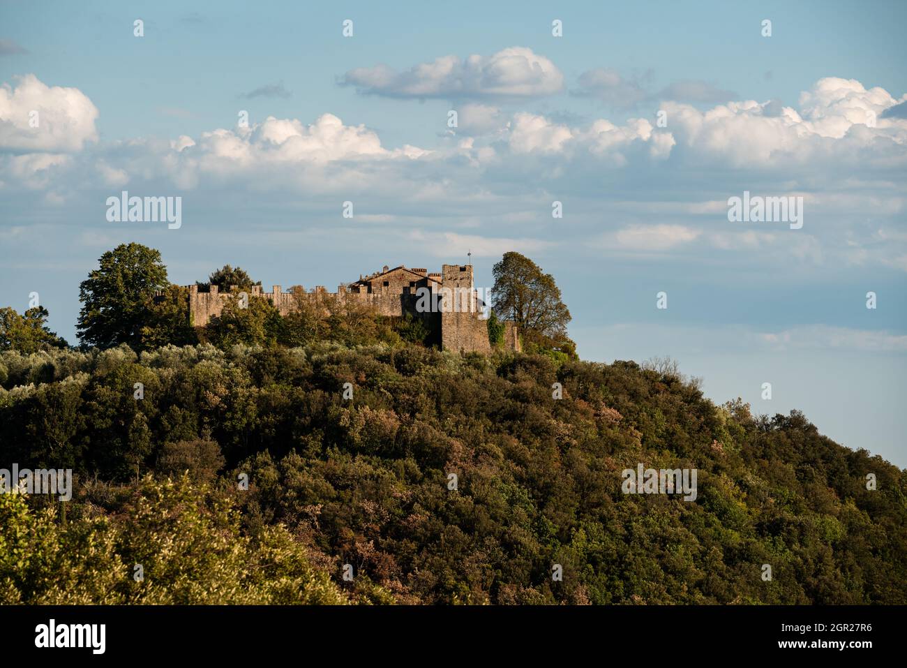 Aerial view of a castle on the forested hill Stock Photo - Alamy