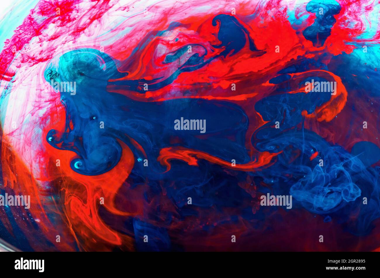 Color ink dissolves in water. Abstract background in red and blue color