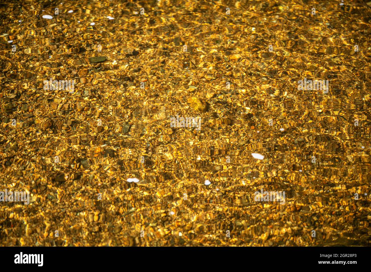 Bright, clear and transparent water and golden pebbles on bottom of mountain river. Stock Photo