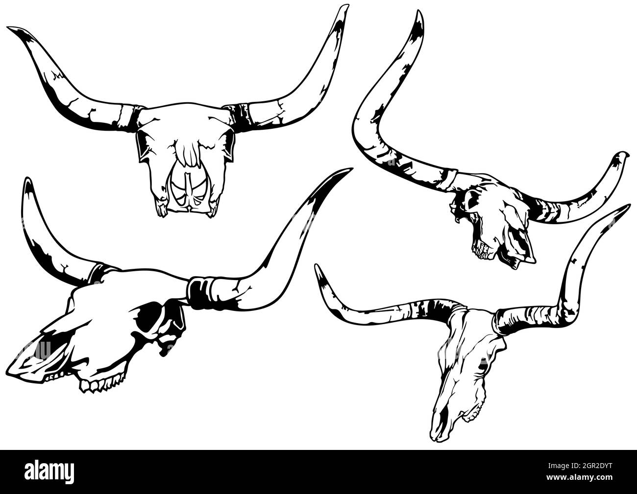 Set of Bull Skull Illustrations Stock Vector