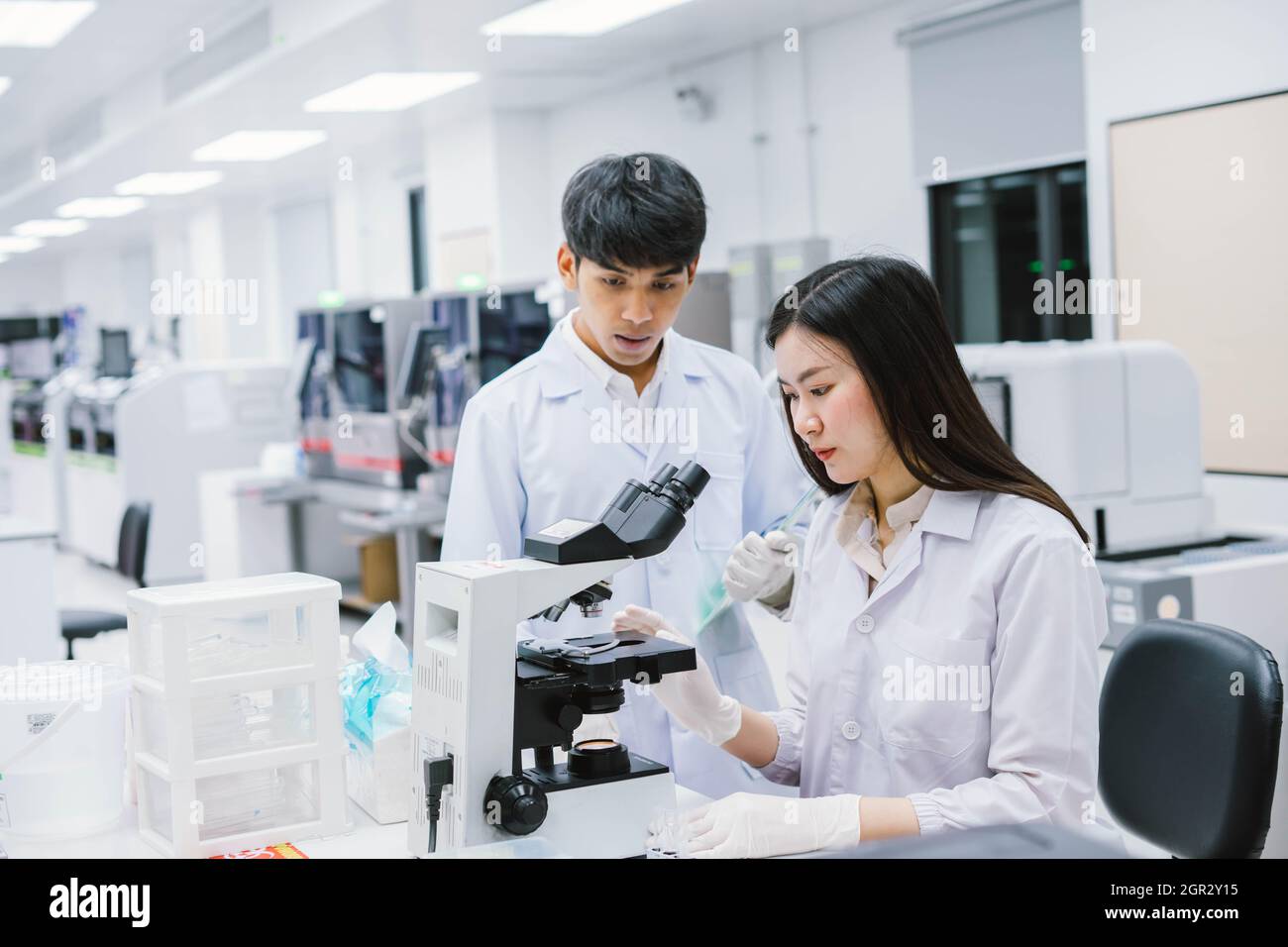 Scientist Examining Specimen In Laboratory Stock Photo Alamy