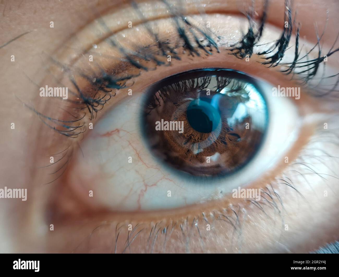Asian extreme close up eye hi-res stock photography and images - Alamy